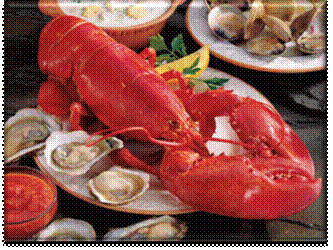 C:\Documents and Settings\kristien\My Documents\My Pictures\seafoodfeast.jpg