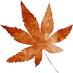 C:\Users\User\Desktop\� ������\������ ������\0_7c4d0_f59b7��a1b_orig.png