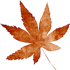 C:\Users\User\Desktop\� ������\������ ������\0_7c4d0_f59b7��a1b_orig.png