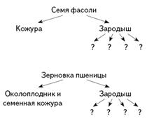 http://bio.1september.ru/2008/12/30.gif