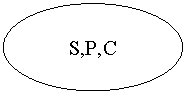 ����: S,P,C