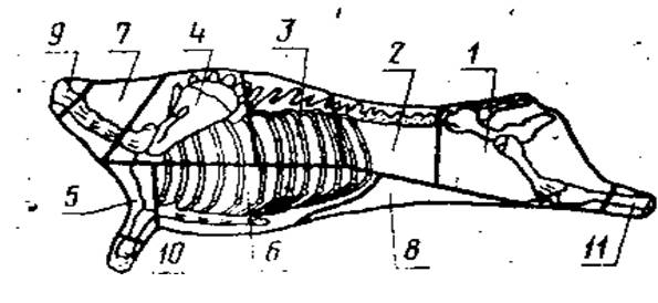 http://www.interbuh.com.ua/uploads/images/17ghfghfghfhfghfhg.png