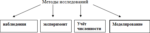 http://festival.1september.ru/articles/628944/2.gif