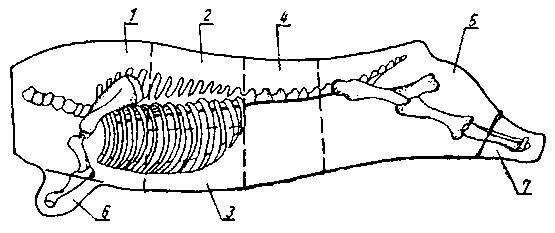 http://www.interbuh.com.ua/uploads/images/18ghfghfghfhfghfhg.png