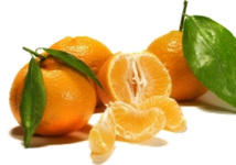 http://cs9843.vkontakte.ru/u33633358/-14/x_97cd8ee2.jpg