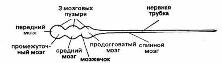 https://lh6.googleusercontent.com/rpIyo0bbIKpRZSns43KJh5TMwZ-1p7vVFJimc5O19Z0cMkhoWRWpedukSa8P7AjssWLH9qA_U30CVJ5JM_vWOWPlvv_AGLvHEc3FRX8-tVVv2vHrvMVKMB7gkLHYmj83rU8YVsc