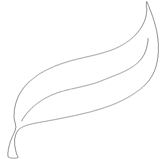 http://www.abc-color.com/image/coloring/leaves/001/leaves/leaves-raster-coloring.png