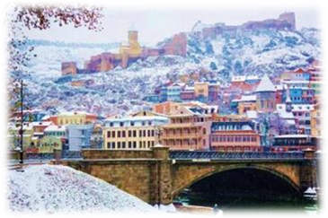 D:\Anna Orlova\MICE\!!!!!! EMG\EMG_progs\Tbilisi NY\5.jpg