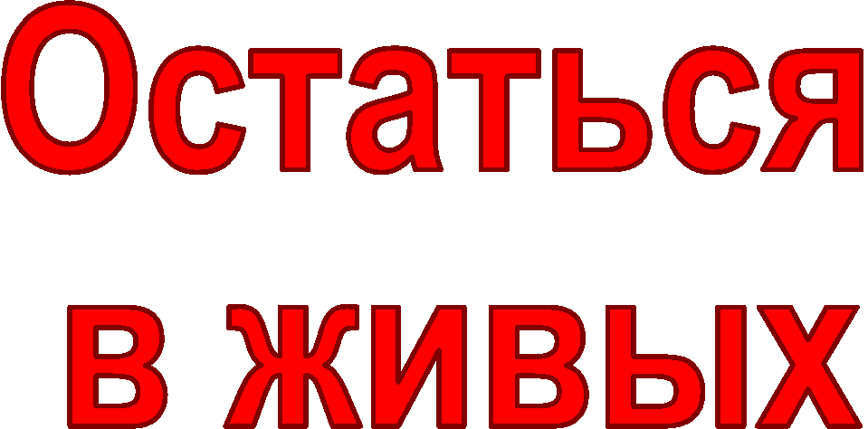 �������� 

� �����