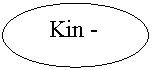 Овал: Kin -