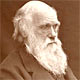 http://www.library.ru/3/event/fact/darvin/img/darvin_01s.jpg
