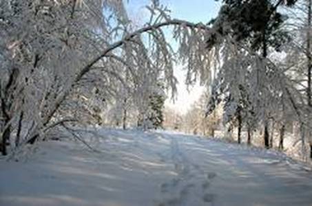 http://doc4web.ru/uploads/files/22/21610/hello_html_m4016afd1.jpg