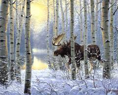 http://doc4web.ru/uploads/files/22/21610/hello_html_5e054866.jpg