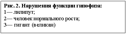�������: