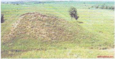image2"