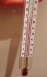 SDC13591.JPG