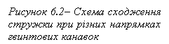 �������: