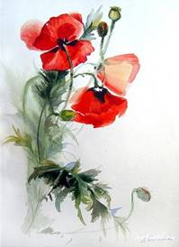 http://img-fotki.yandex.ru/get/5403/audrey-11.e/0_3e881_d89c3f17_L
