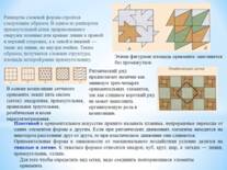 Описание: F:\для информио\презентация для МГ\Слайд6.JPG