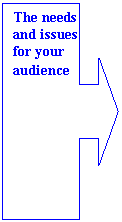 Выноска со стрелкой вправо: The needs and issues for your audience