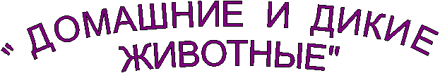 "ДОМАШНИЕ И ДИКИЕ
ЖИВОТНЫЕ"
