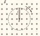 IMAGE00010