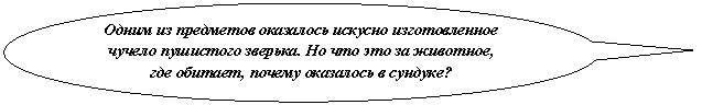 Овальная выноска: Одним из предметов оказалось искусно изготовленное чучело пушистого зверька. Но что это за животное, где обитает, почему оказалось в сундуке?