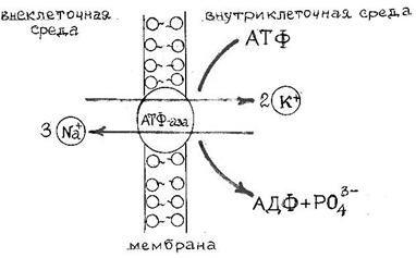 image001
