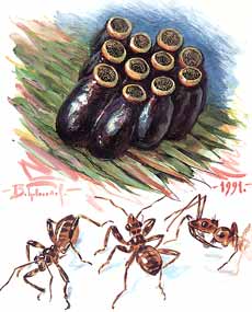 http://www.bronzovka.ru/glava05_1/528.jpg