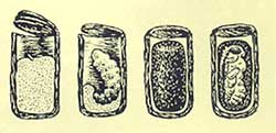 http://www.bronzovka.ru/glava06_2/659.jpg