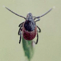 image002.gif"