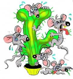mice