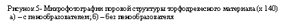 �������: