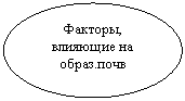 Овал: Факторы, влияющие на образ.почв