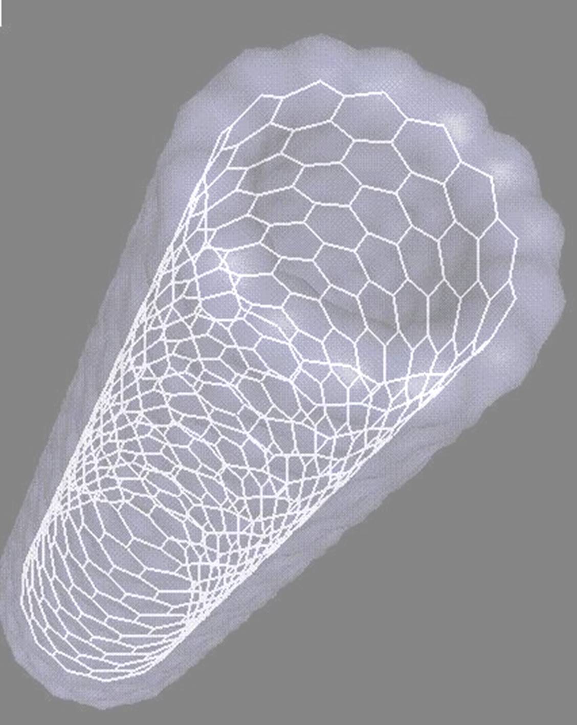 C:\Users\user\Desktop\des_nanotubes_de_carbone_pour_detecter_le_cancer.jpg
