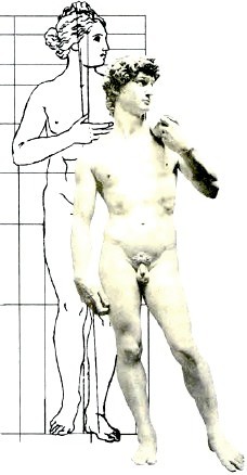 http://www.tepka.ru/biologiya_cheloveka/18.12.jpg
