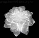 http://karmel-beauty.ru/d/63151/d/img_4862.jpg