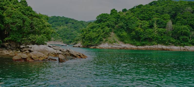 D:\��������� ���� ���\������������� �������\������������\!��������\NEW\pic\Tropicheskii Angra ton.jpg