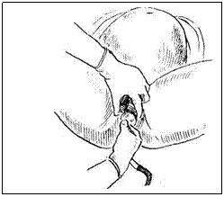 Подпись:
