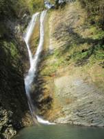 IMG_0551