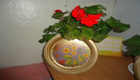 ��������: G:\DCIM\101MSDCF\DSC04804.JPG