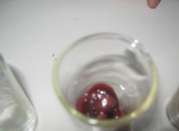 IMG_1276.JPG
