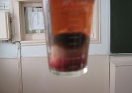IMG_1289.JPG