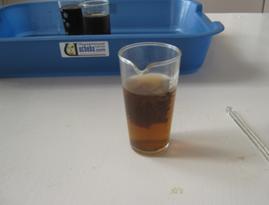 IMG_1292.JPG
