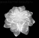 http://karmel-beauty.ru/d/63151/d/img_4862.jpg