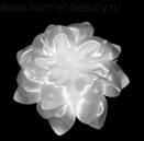 http://karmel-beauty.ru/d/63151/d/img_4862.jpg