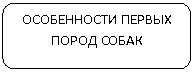 ����������� �������������: ����������� ������ ����� �����