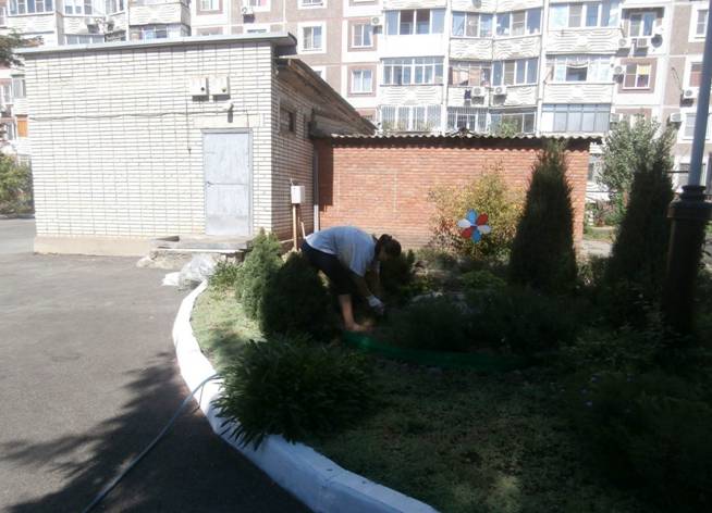 C:\Users\МБДОУ\Desktop\Субботник сентябрь 2015\P9181759.JPG