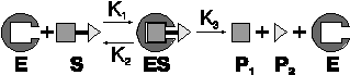 http://www.vector-best.ru/nvb/n8/st8_5c.gif