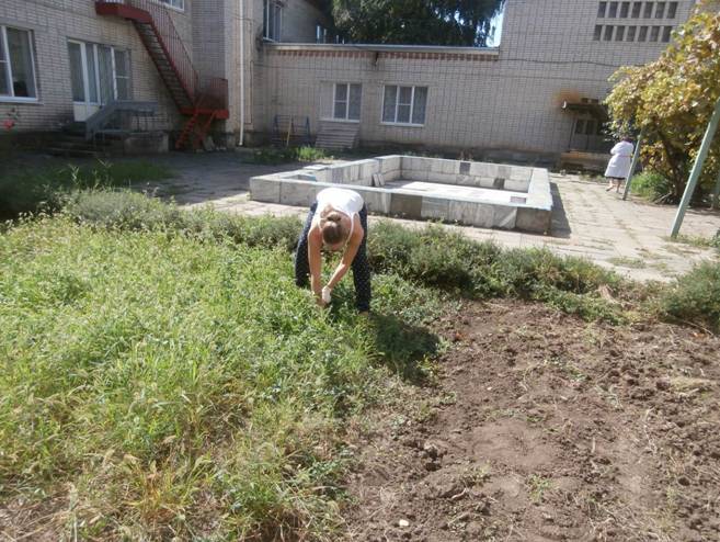 C:\Users\МБДОУ\Desktop\Субботник сентябрь 2015\P9181765.JPG